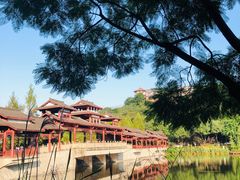 -重庆彩云湖湿地公园