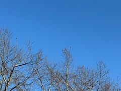 -南山风景名胜区