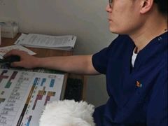 -派美特宠物医院·核磁CT·骨科肿瘤·疑难转诊(沈农禾丰店)