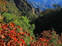 -狼牙山风景区