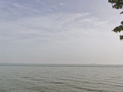 -贡湖湾湿地公园
