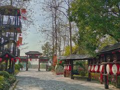 -合肥滨湖国家森林公园