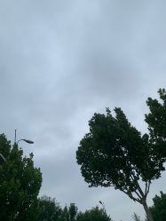 -HEYAN长风荷妍专业脱毛美肤
