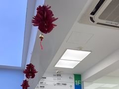 -中国农业大学动物医院