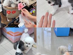 -开元商城(西旺店)