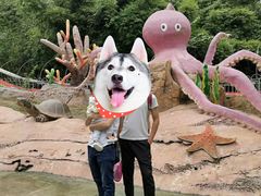 -都江堰玫瑰花溪谷