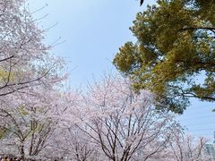 -西北湖绿化广场