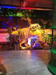 -恐龙探索乐园(磁器口店)