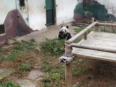 -无锡动物园·太湖欢乐园