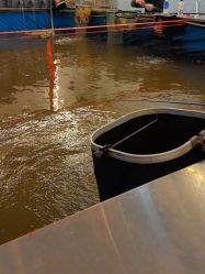 -巡鱼道·室内垂钓·渔具店