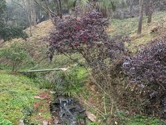 -常德桃花源景区