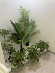 -VE专注问题肌·赛诺龙&科学美肤中心