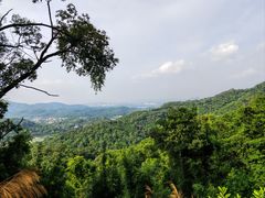 -广州市帽峰山景区