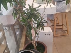 -万达广场(合肥天鹅湖店)