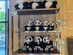 -成都保利公园皇冠假日酒店(熊猫基地店)