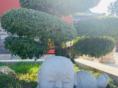 -天津大悲禅院