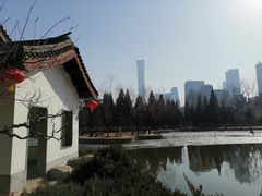 -团结湖公园