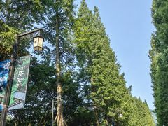 -青城山