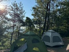 -重庆睡佛山森林公园