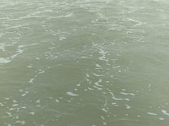 -日照海滨国家森林公园