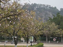 -南沙天后宫景区