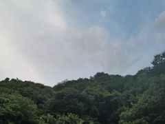 -西安祥峪森林公园