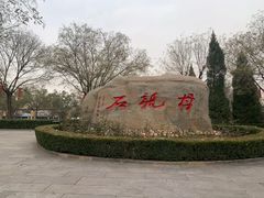 -大槐树寻根祭祖园