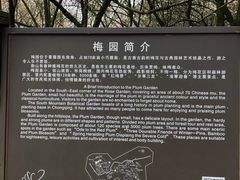 -南山植物园