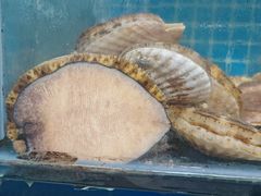 -宾朋海鲜特色美食餐厅·纯手工鲅鱼水饺(兴海路店)