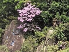 -天台山琼台仙谷景区