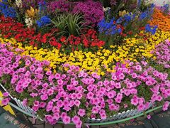 -大兴滨河森林公园