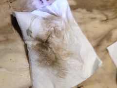 -加州红歌声宴KTV(白石洲店)