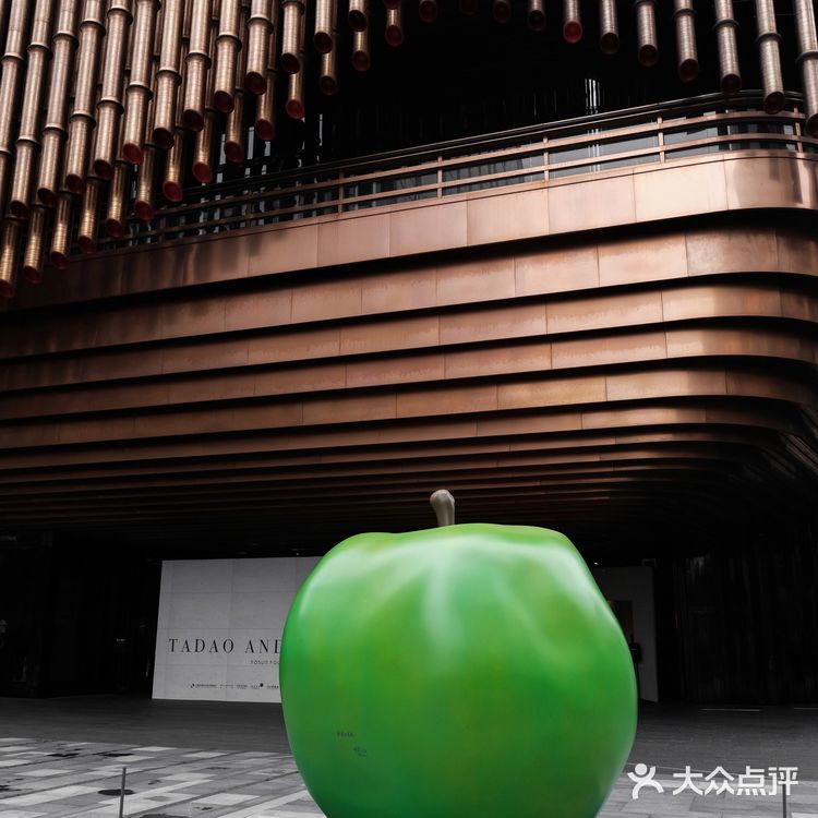 上海必看安藤忠雄国内首个个人建筑回顾展