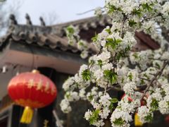 -元大都城垣遗址公园