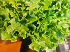-伍丁·烤牛肋(和平东桥店)
