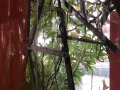 -Cuc Gach Quan Restaurant