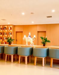 -千禧果月子会所(郑州东站店)