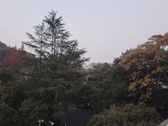 -杭州花家山庄