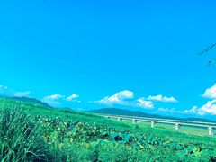 -光明小镇欢乐田园