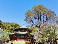 -潭柘寺景区