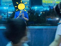 -乐从天佑城海洋馆