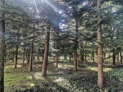 -大连理工大学(凌水校区)