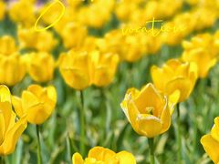 -长春公园(普阳街道)