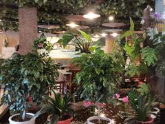 -回忆以前铁锅炖鱼村(一部六号街店)
