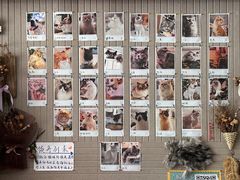 -平行世界·猫咖(首经贸店)