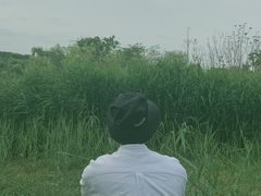 -白鹭湾湿地公园