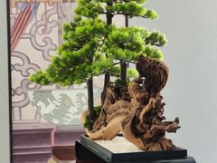 -顺峰(农展馆店)