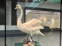 -诸暨博物馆