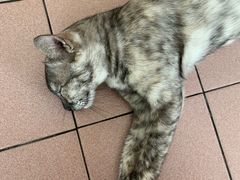 -吉隆坡国际机场