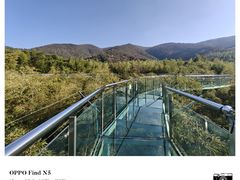 -陶祖圣境风景区